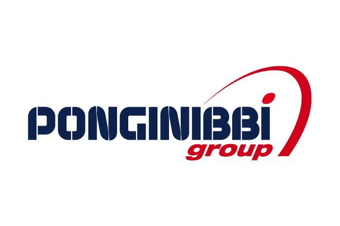 Ponginibbi Group
